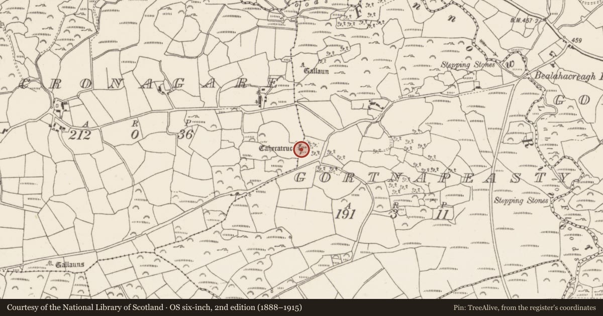 Ordnance Survey six-inch map, 2nd edition (1888–1915) covering the location of Ringfort - cashel, Gortnapeasty, County Cork, with a pin at the register's coordinates