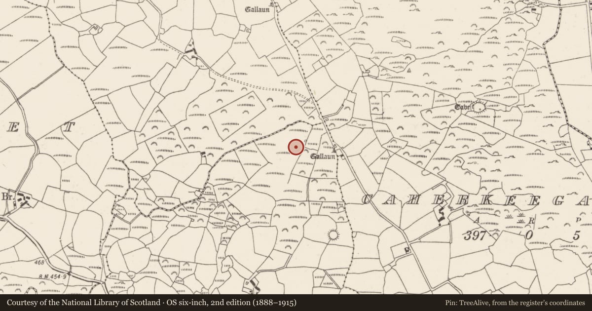 Ordnance Survey six-inch map, 2nd edition (1888–1915) covering the location of Fulacht fia, Gortnalicky, County Cork, with a pin at the register's coordinates