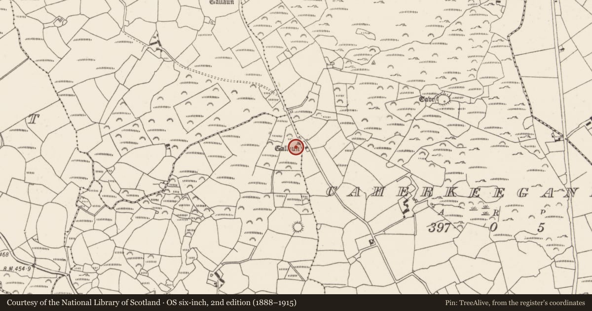 Ordnance Survey six-inch map, 2nd edition (1888–1915) covering the location of Standing stone, Gortnalicky, County Cork, with a pin at the register's coordinates