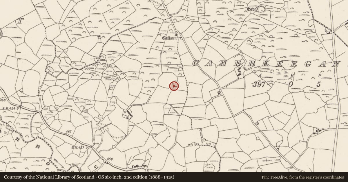 Ordnance Survey six-inch map, 2nd edition (1888–1915) covering the location of Ringfort - cashel, Gortnalicky, County Cork, with a pin at the register's coordinates
