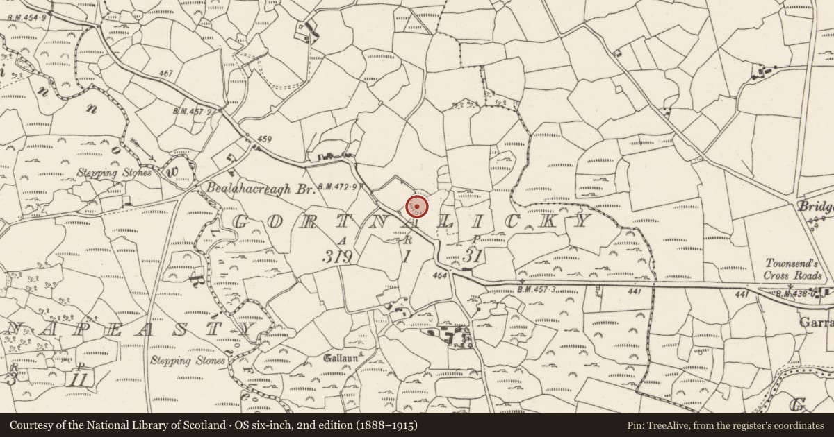 Ordnance Survey six-inch map, 2nd edition (1888–1915) covering the location of Ringfort - rath, Gortnalicky, County Cork, with a pin at the register's coordinates