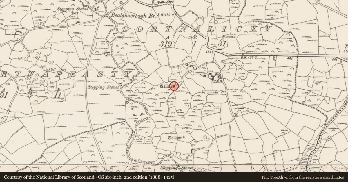 Ordnance Survey six-inch map, 2nd edition (1888–1915) covering the location of Standing stone, Gortnalicky, County Cork, with a pin at the register's coordinates