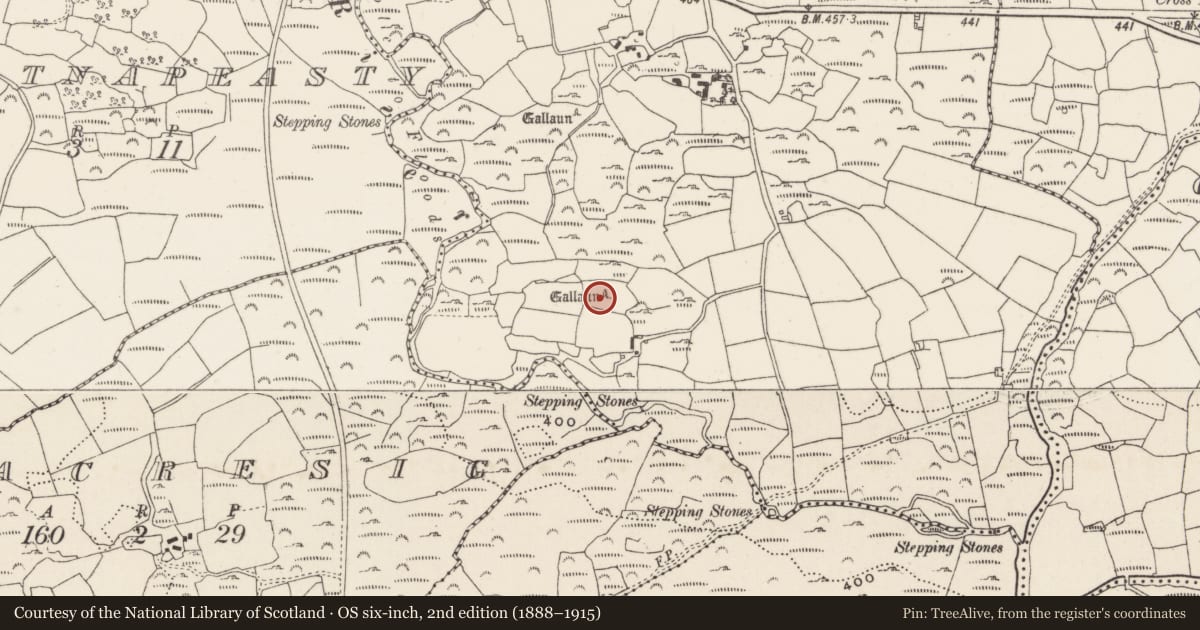 Ordnance Survey six-inch map, 2nd edition (1888–1915) covering the location of Standing stone, Gortnalicky, County Cork, with a pin at the register's coordinates
