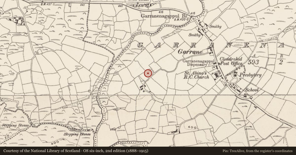 Ordnance Survey six-inch map, 2nd edition (1888–1915) covering the location of Ringfort - rath, Garranenagappul, County Cork, with a pin at the register's coordinates