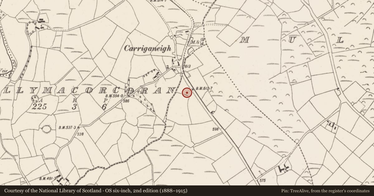 Ordnance Survey six-inch map, 2nd edition (1888–1915) covering the location of Standing stone, Garranenagappul, County Cork, with a pin at the register's coordinates