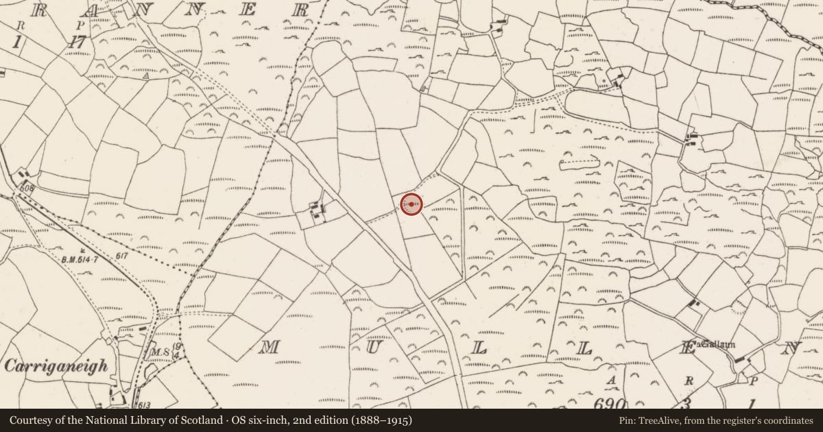 Ordnance Survey six-inch map, 2nd edition (1888–1915) covering the location of Ringfort - rath, Mullenroe, County Cork, with a pin at the register's coordinates