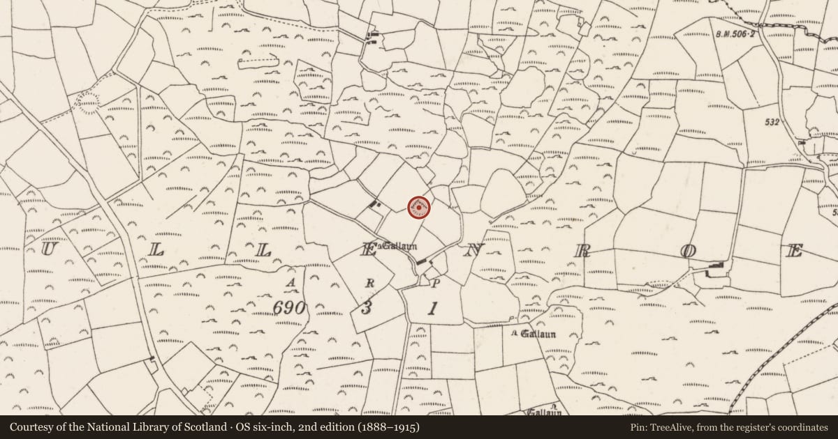 Ordnance Survey six-inch map, 2nd edition (1888–1915) covering the location of Ringfort - rath, Mullenroe, County Cork, with a pin at the register's coordinates