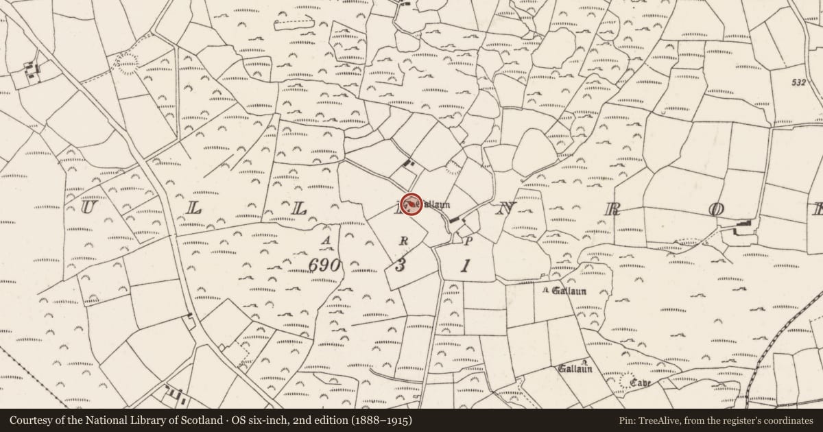 Ordnance Survey six-inch map, 2nd edition (1888–1915) covering the location of Standing stone, Mullenroe, County Cork, with a pin at the register's coordinates