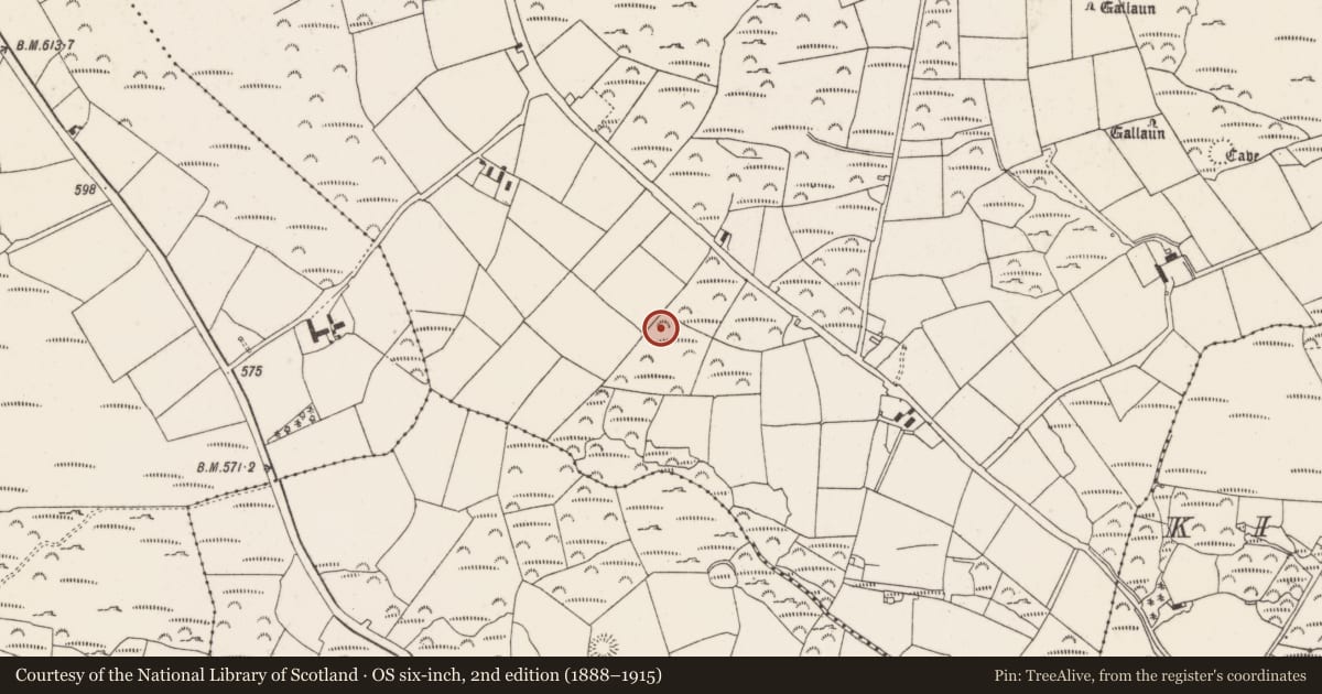 Ordnance Survey six-inch map, 2nd edition (1888–1915) covering the location of Fulacht fia, Mullenroe, County Cork, with a pin at the register's coordinates