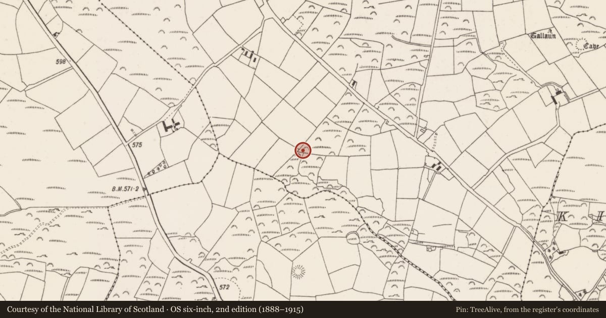 Ordnance Survey six-inch map, 2nd edition (1888–1915) covering the location of Fulacht fia, Mullenroe, County Cork, with a pin at the register's coordinates