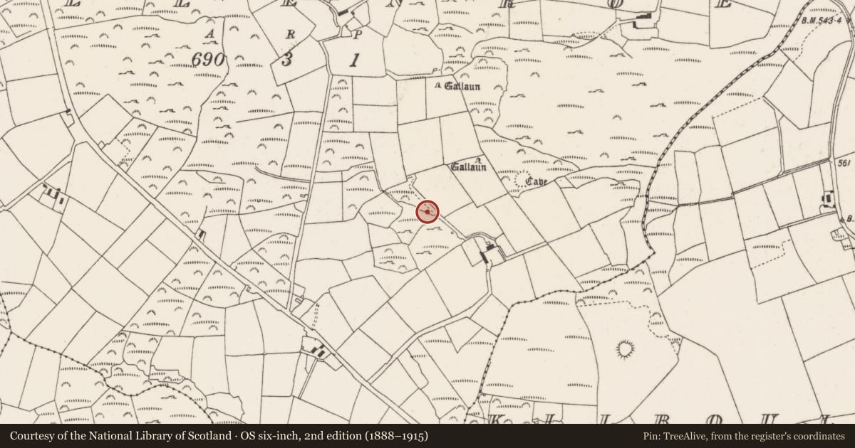 Ordnance Survey six-inch map, 2nd edition (1888–1915) covering the location of Fulacht fia, Mullenroe, County Cork, with a pin at the register's coordinates