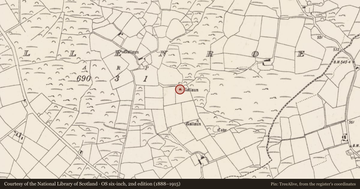 Ordnance Survey six-inch map, 2nd edition (1888–1915) covering the location of Standing stone, Mullenroe, County Cork, with a pin at the register's coordinates