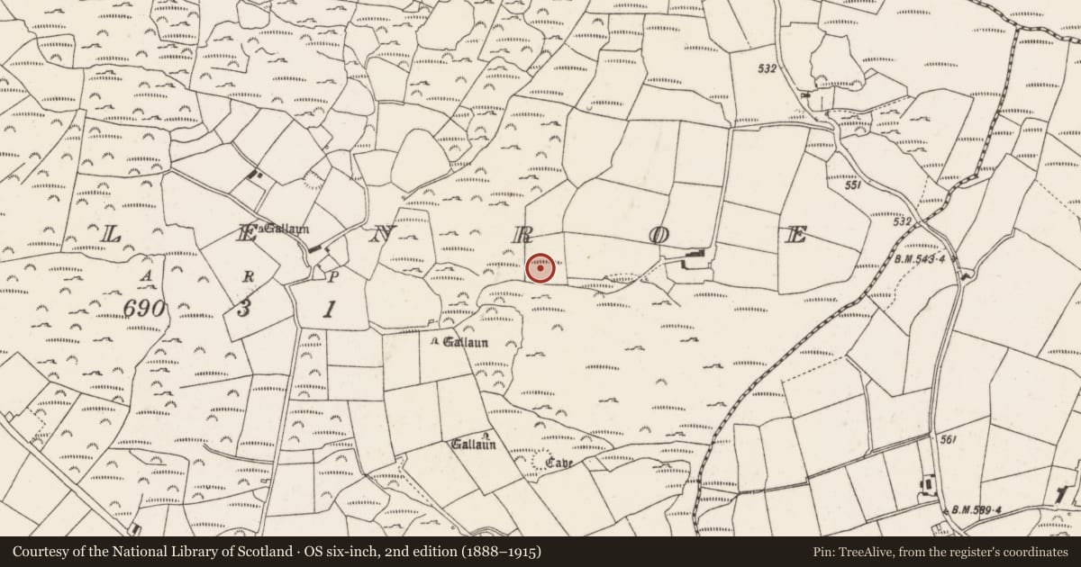 Ordnance Survey six-inch map, 2nd edition (1888–1915) covering the location of Fulacht fia, Mullenroe, County Cork, with a pin at the register's coordinates