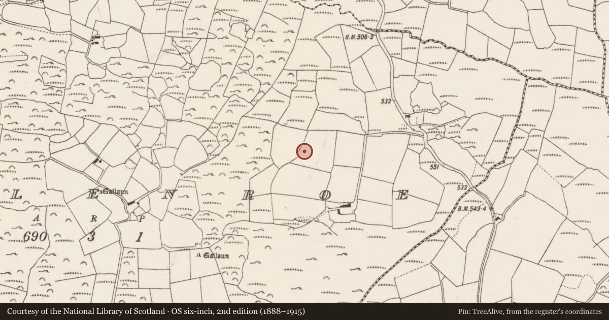 Ordnance Survey six-inch map, 2nd edition (1888–1915) covering the location of Ringfort - rath, Mullenroe, County Cork, with a pin at the register's coordinates