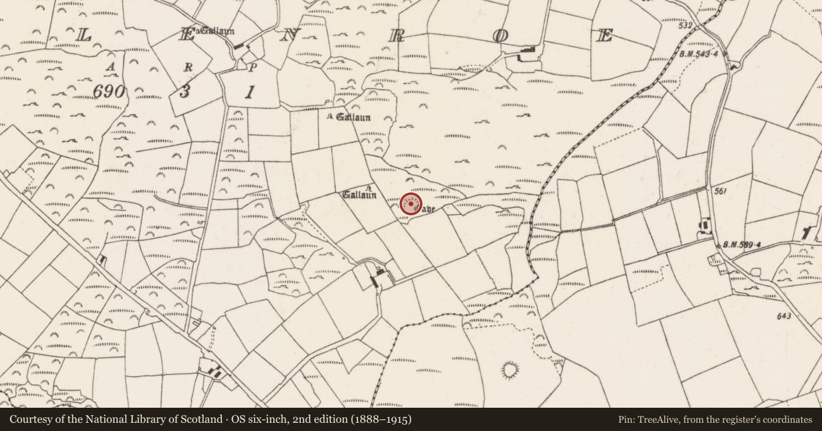 Ordnance Survey six-inch map, 2nd edition (1888–1915) covering the location of Ringfort - rath, Mullenroe, County Cork, with a pin at the register's coordinates