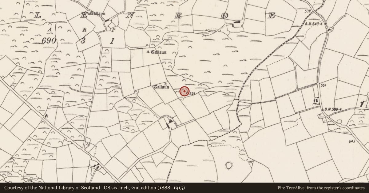 Ordnance Survey six-inch map, 2nd edition (1888–1915) covering the location of Souterrain, Mullenroe, County Cork, with a pin at the register's coordinates