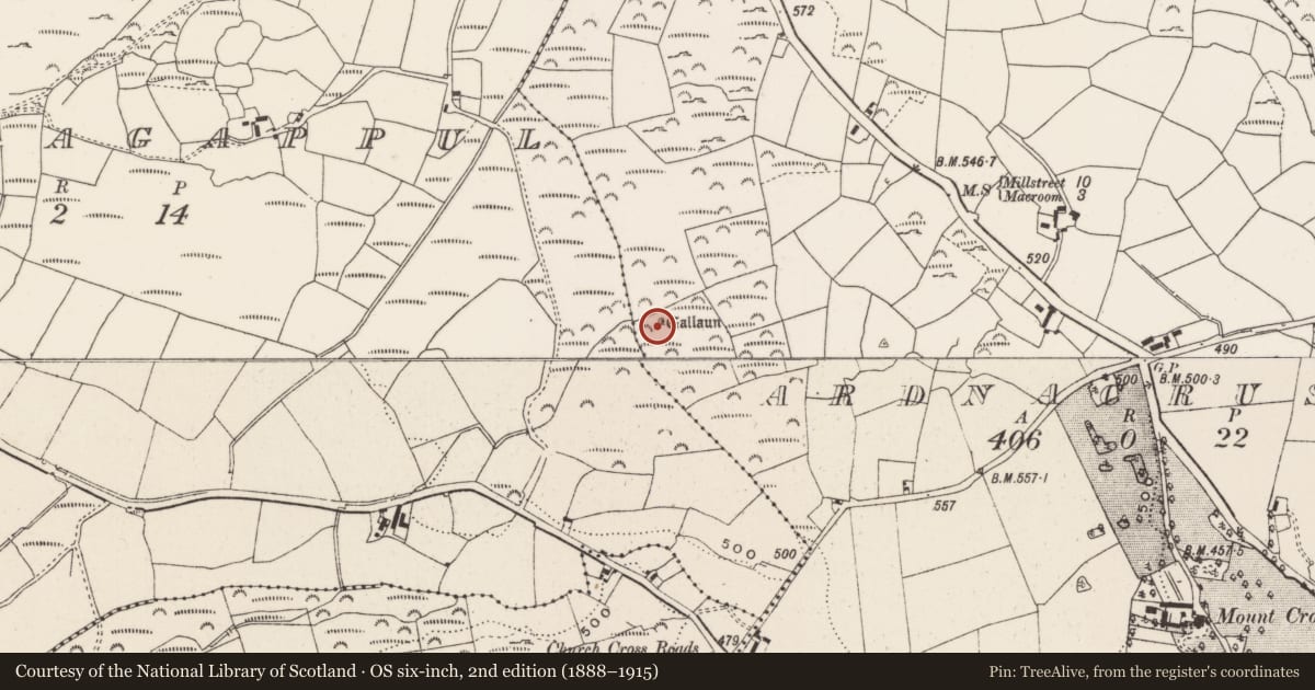 Ordnance Survey six-inch map, 2nd edition (1888–1915) covering the location of Standing stone, Ardnacrushy, County Cork, with a pin at the register's coordinates