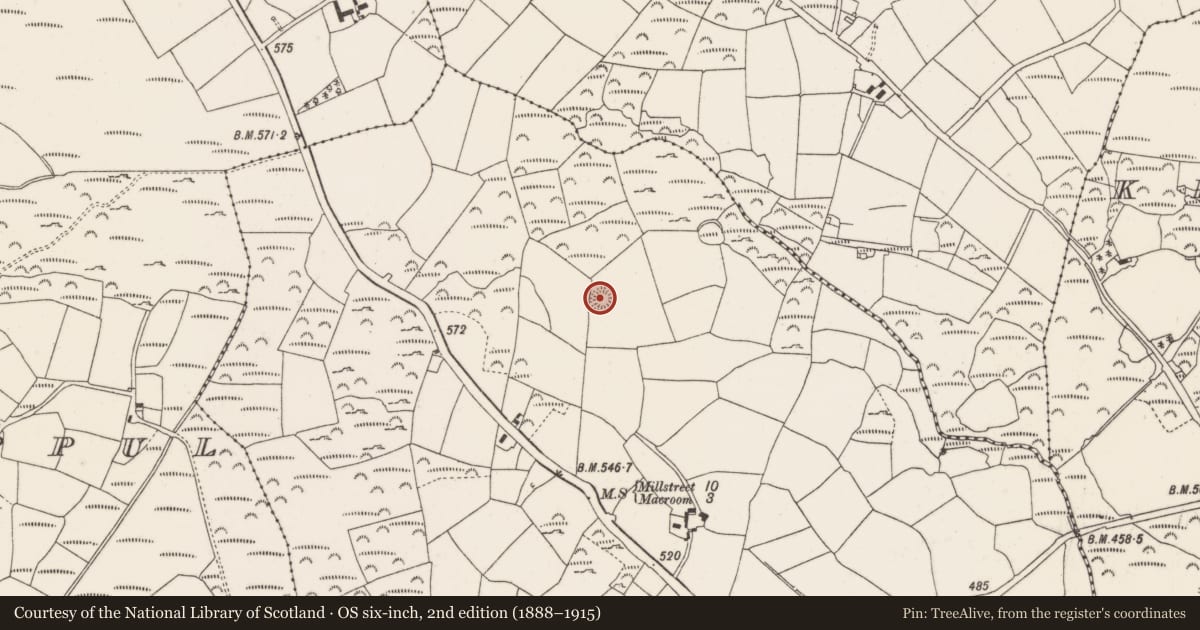 Ordnance Survey six-inch map, 2nd edition (1888–1915) covering the location of Ringfort - rath, Ardnacrushy, County Cork, with a pin at the register's coordinates
