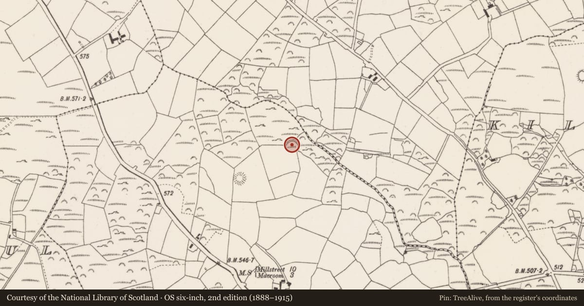 Ordnance Survey six-inch map, 2nd edition (1888–1915) covering the location of Ringfort - cashel, Ardnacrushy, County Cork, with a pin at the register's coordinates