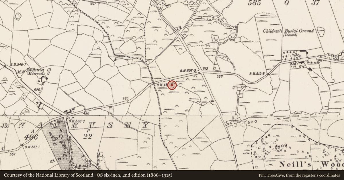Ordnance Survey six-inch map, 2nd edition (1888–1915) covering the location of Stone circle - multiple-stone, Kilboultragh, County Cork, with a pin at the register's coordinates