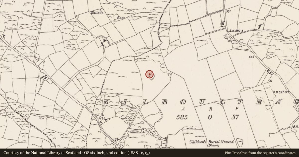 Ordnance Survey six-inch map, 2nd edition (1888–1915) covering the location of Souterrain, Kilboultragh, County Cork, with a pin at the register's coordinates