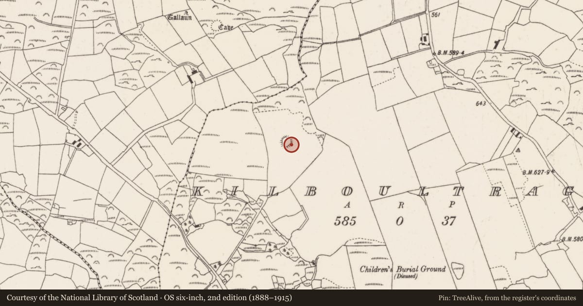 Ordnance Survey six-inch map, 2nd edition (1888–1915) covering the location of Standing stone, Kilboultragh, County Cork, with a pin at the register's coordinates