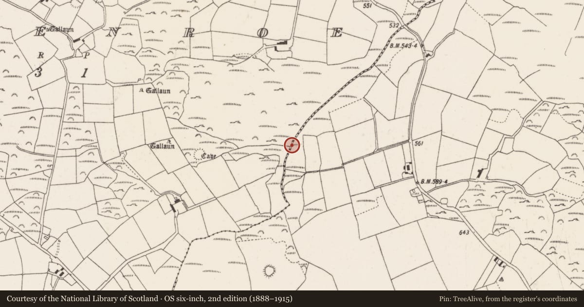 Ordnance Survey six-inch map, 2nd edition (1888–1915) covering the location of Fulacht fia, Kilboultragh, County Cork, with a pin at the register's coordinates