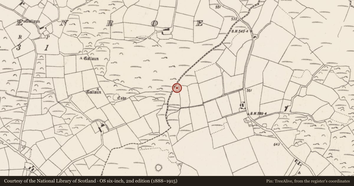 Ordnance Survey six-inch map, 2nd edition (1888–1915) covering the location of Fulacht fia, Kilboultragh, County Cork, with a pin at the register's coordinates