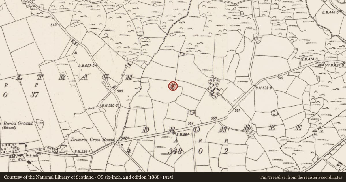 Ordnance Survey six-inch map, 2nd edition (1888–1915) covering the location of Souterrain, Dromree, County Cork, with a pin at the register's coordinates