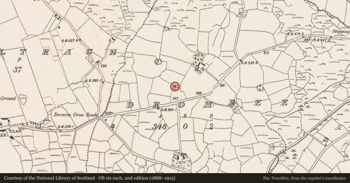 Ordnance Survey six-inch map, 2nd edition (1888–1915) covering the location of Ringfort - rath, Dromree, County Cork, with a pin at the register's coordinates