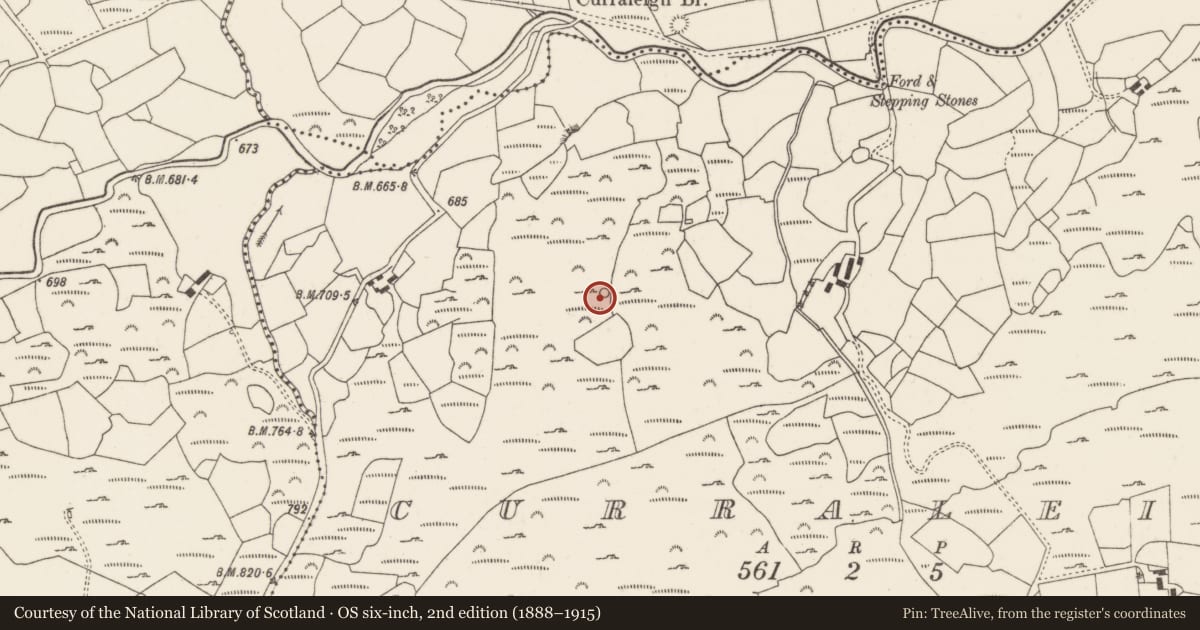 Ordnance Survey six-inch map, 2nd edition (1888–1915) covering the location of Souterrain, Curraleigh, County Cork, with a pin at the register's coordinates