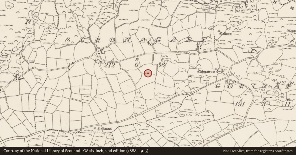 Ordnance Survey six-inch map, 2nd edition (1888–1915) covering the location of Bullaun stone, Scronagare, County Cork, with a pin at the register's coordinates
