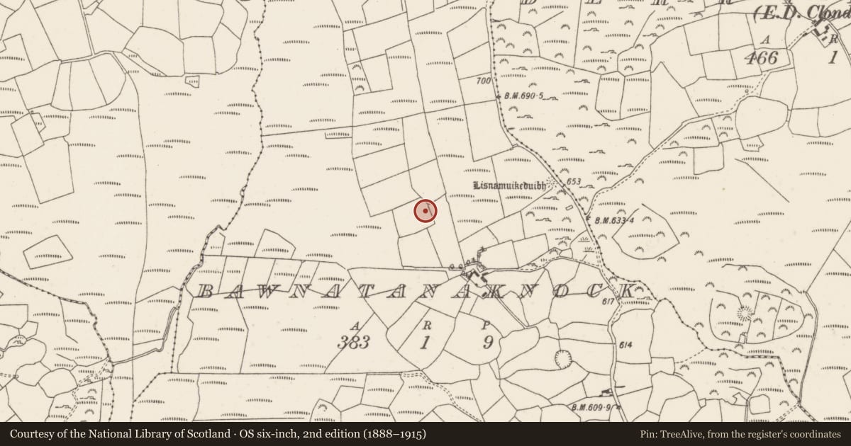 Ordnance Survey six-inch map, 2nd edition (1888–1915) covering the location of Fulacht fia, Barr An Tseanchnoic, County Cork, with a pin at the register's coordinates