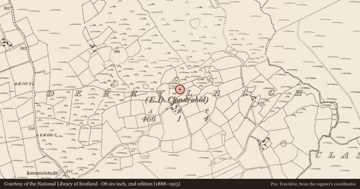 Ordnance Survey six-inch map, 2nd edition (1888–1915) covering the location of Fulacht fia, Derryleigh (Muskerry West By., Clondrohid Par.), County Cork, with a pin at the register's coordinates