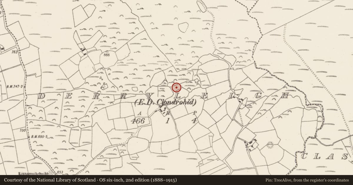 Ordnance Survey six-inch map, 2nd edition (1888–1915) covering the location of Fulacht fia, Derryleigh (Muskerry West By., Clondrohid Par.), County Cork, with a pin at the register's coordinates