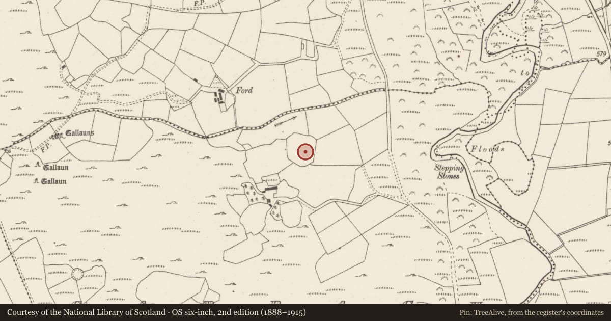Ordnance Survey six-inch map, 2nd edition (1888–1915) covering the location of Burial ground, Cabragh, County Cork, with a pin at the register's coordinates