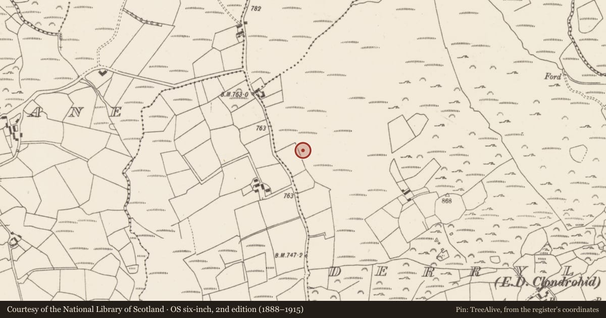 Ordnance Survey six-inch map, 2nd edition (1888–1915) covering the location of Field boundary, Derryleigh (Muskerry West By., Clondrohid Par.), County Cork, with a pin at the register's coordinates