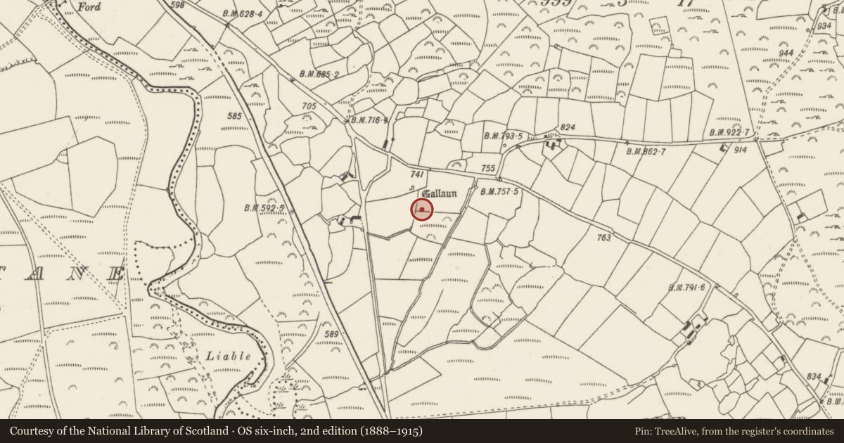 Ordnance Survey six-inch map, 2nd edition (1888–1915) covering the location of Fulacht fia, Knockraheen, County Cork, with a pin at the register's coordinates