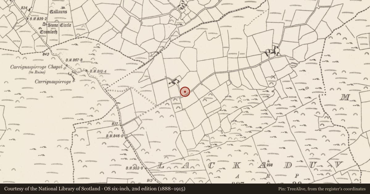 Ordnance Survey six-inch map, 2nd edition (1888–1915) covering the location of Megalithic tomb - wedge tomb, Lackaduv, County Cork, with a pin at the register's coordinates
