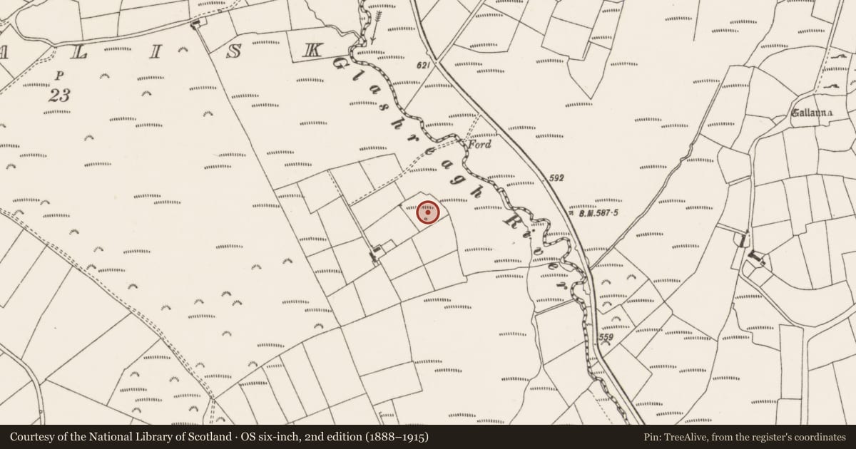 Ordnance Survey six-inch map, 2nd edition (1888–1915) covering the location of Fulacht fia, Rahalisk, County Cork, with a pin at the register's coordinates
