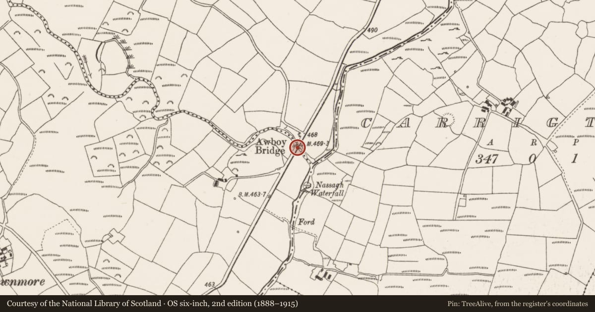 Ordnance Survey six-inch map, 2nd edition (1888–1915) covering the location of Bridge, Bawnmore, Rahalisk, County Cork, with a pin at the register's coordinates
