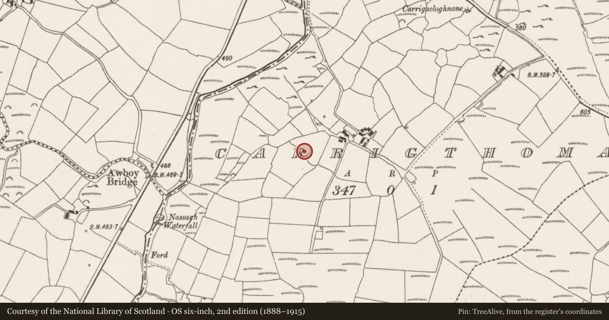 Ordnance Survey six-inch map, 2nd edition (1888–1915) covering the location of Ringfort - rath, Carrigthomas, County Cork, with a pin at the register's coordinates