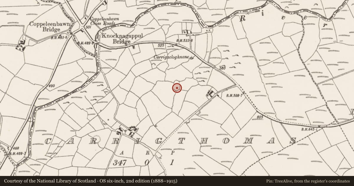 Ordnance Survey six-inch map, 2nd edition (1888–1915) covering the location of Enclosure, Carrigthomas, County Cork, with a pin at the register's coordinates