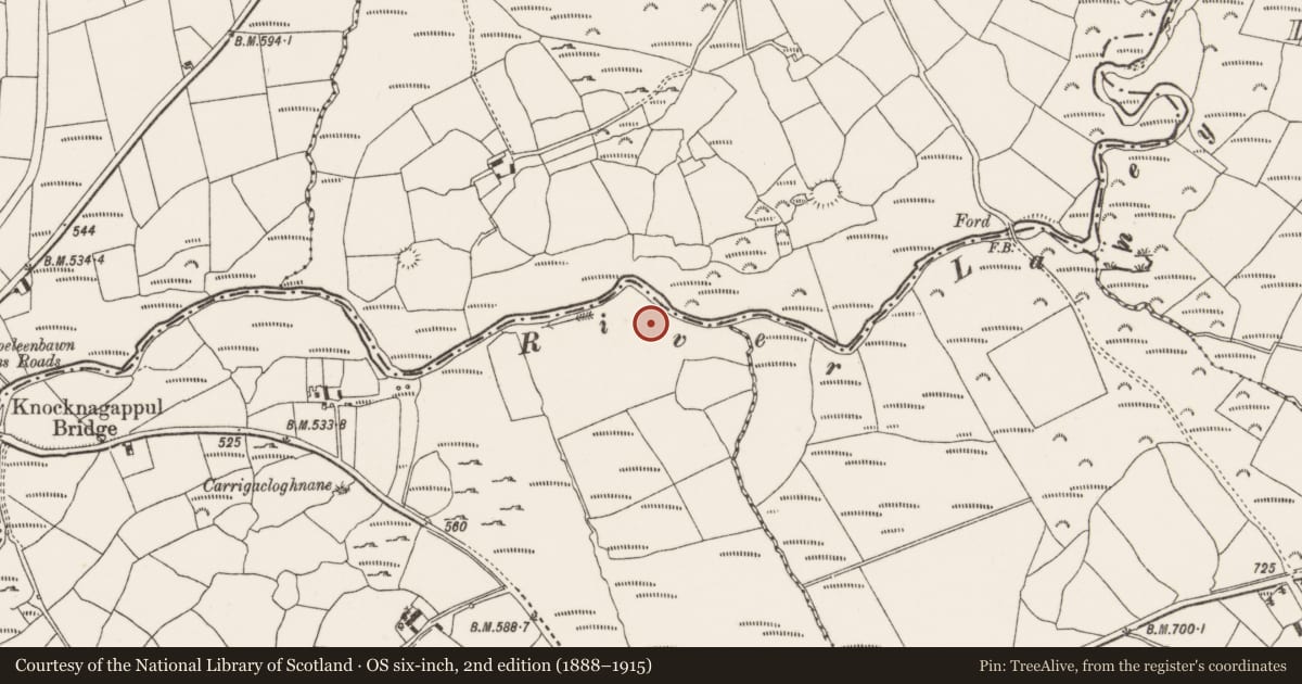 Ordnance Survey six-inch map, 2nd edition (1888–1915) covering the location of Souterrain, Carrigthomas, County Cork, with a pin at the register's coordinates