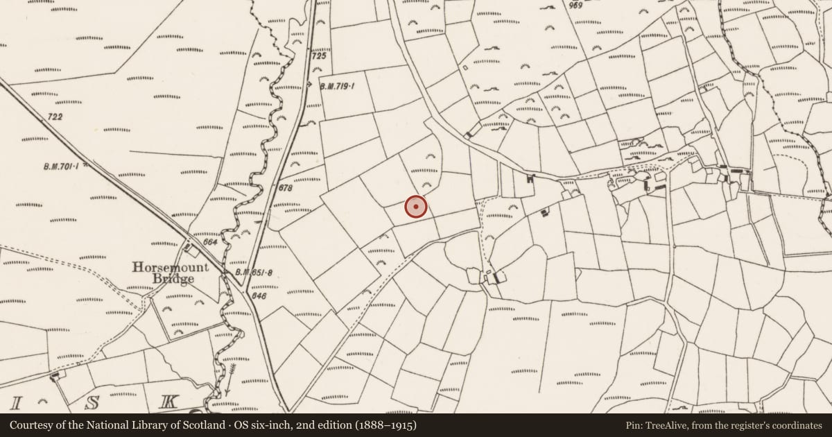 Ordnance Survey six-inch map, 2nd edition (1888–1915) covering the location of Megalithic tomb - wedge tomb, Knocknagappul, County Cork, with a pin at the register's coordinates