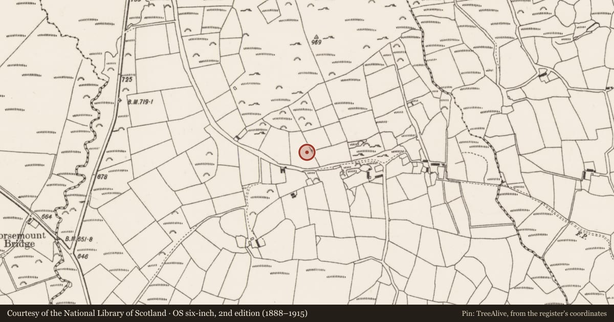 Ordnance Survey six-inch map, 2nd edition (1888–1915) covering the location of Anomalous stone group, Knocknagappul, County Cork, with a pin at the register's coordinates