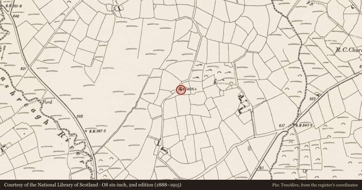 Ordnance Survey six-inch map, 2nd edition (1888–1915) covering the location of Standing stone, Knocknagappul, County Cork, with a pin at the register's coordinates