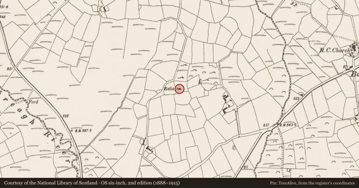 Ordnance Survey six-inch map, 2nd edition (1888–1915) covering the location of Standing stone, Knocknagappul, County Cork, with a pin at the register's coordinates