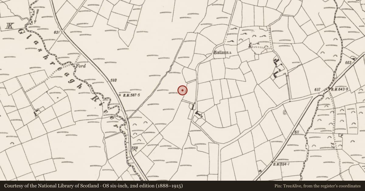 Ordnance Survey six-inch map, 2nd edition (1888–1915) covering the location of Fulacht fia, Knocknagappul, County Cork, with a pin at the register's coordinates