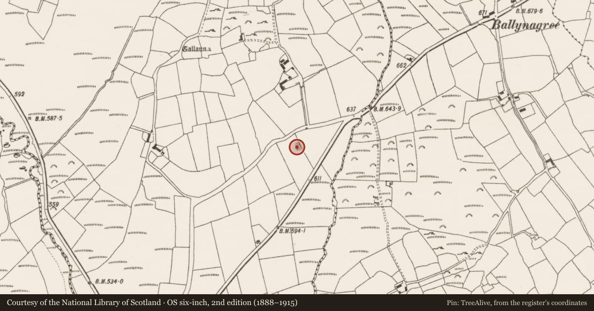 Ordnance Survey six-inch map, 2nd edition (1888–1915) covering the location of Enclosure, Knocknagappul, County Cork, with a pin at the register's coordinates